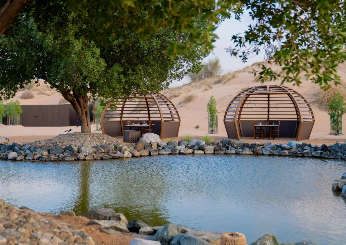 10. Platinum Oasis - Hero Balloon Flights Dubai (1)